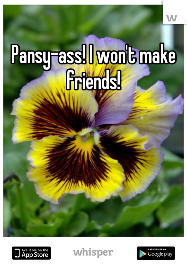 Pansy-ass! I won't make friends!