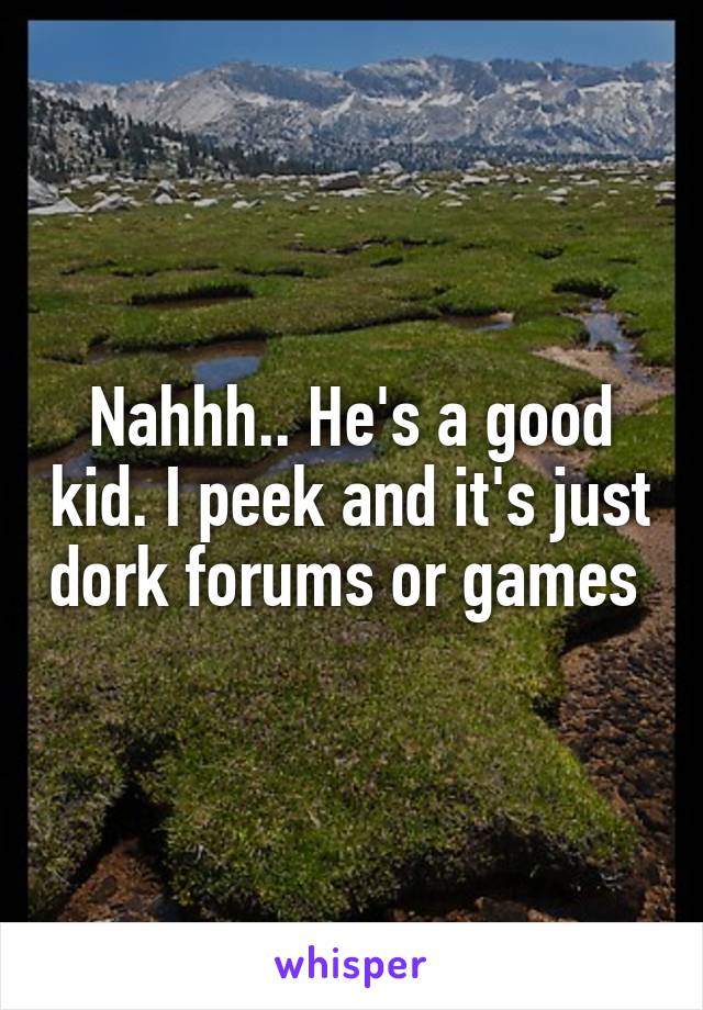 Nahhh.. He's a good kid. I peek and it's just dork forums or games 