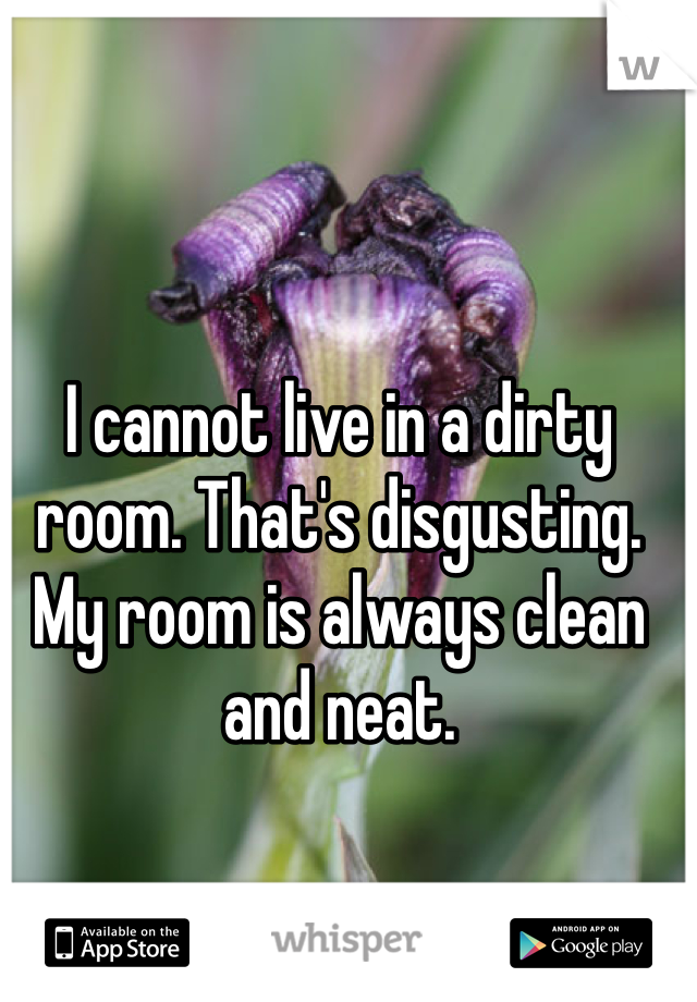 I cannot live in a dirty room. That's disgusting. My room is always clean and neat. 