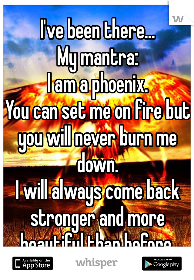 I've been there...
My mantra:
I am a phoenix.
You can set me on fire but you will never burn me down.
I will always come back stronger and more beautiful than before. 