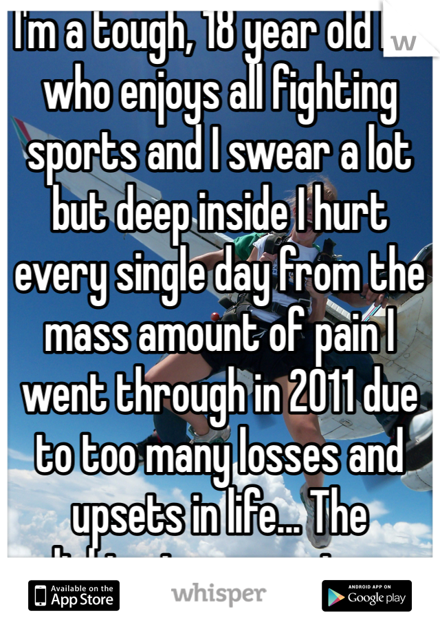 I'm a tough, 18 year old lad who enjoys all fighting sports and I swear a lot but deep inside I hurt every single day from the mass amount of pain I went through in 2011 due to too many losses and upsets in life... The slightest comment can send me on a downer.