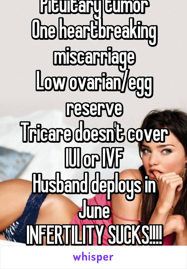 Pituitary tumor
One heartbreaking miscarriage
Low ovarian/egg reserve
Tricare doesn't cover IUI or IVF
Husband deploys in June
INFERTILITY SUCKS!!!!
