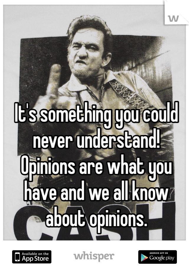 It's something you could never understand! Opinions are what you have and we all know about opinions.