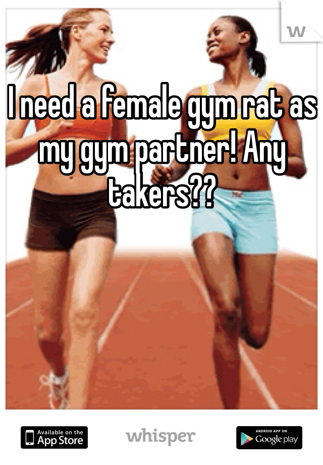 I need a female gym rat as my gym partner! Any takers??