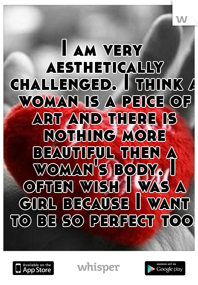 I am very aesthetically challenged. I think a woman is a peice of art and there is nothing more beautiful then a woman's body. I often wish I was a girl because I want to be so perfect too. 