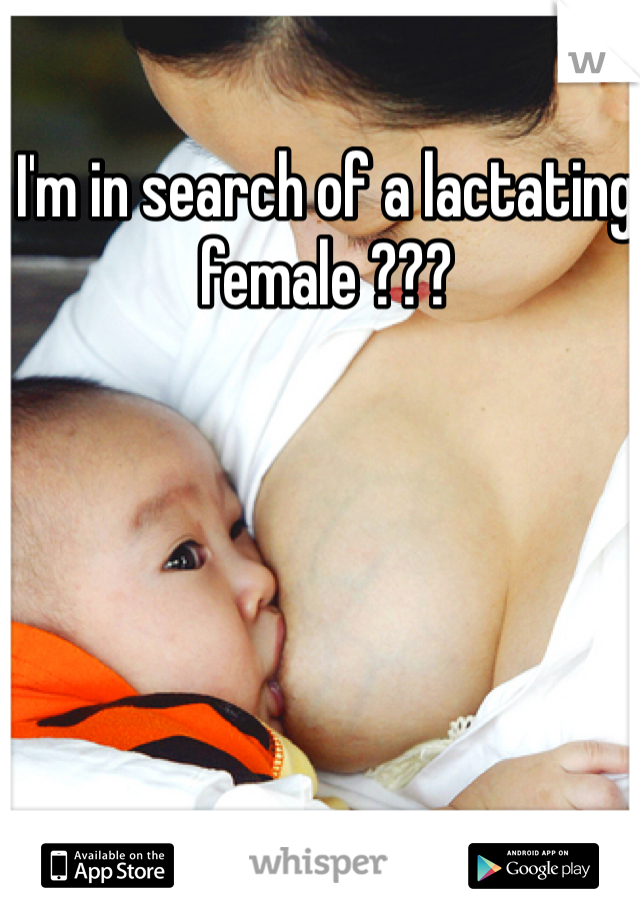 I'm in search of a lactating female ??? 