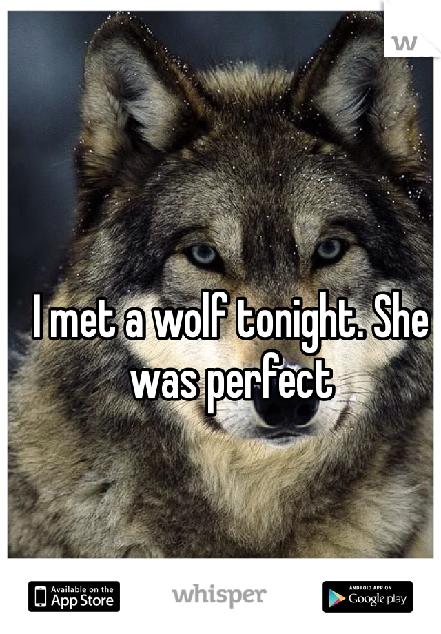 I met a wolf tonight. She was perfect