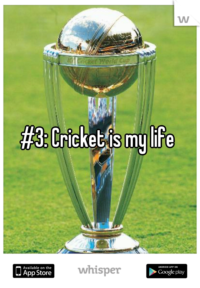 #3: Cricket is my life 