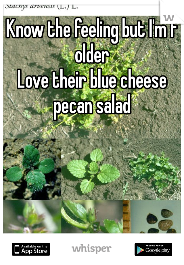Know the feeling but I'm f older 
Love their blue cheese pecan salad 