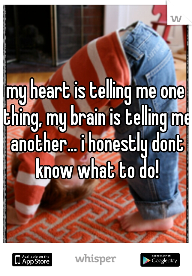 my heart is telling me one thing, my brain is telling me another... i honestly dont know what to do!