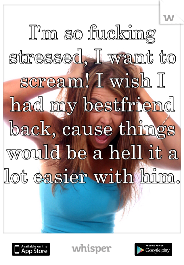 I'm so fucking stressed, I want to scream! I wish I had my bestfriend back, cause things would be a hell it a lot easier with him.