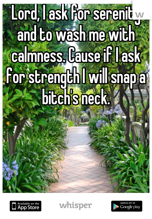 Lord, I ask for serenity and to wash me with calmness. Cause if I ask for strength I will snap a bitch's neck.