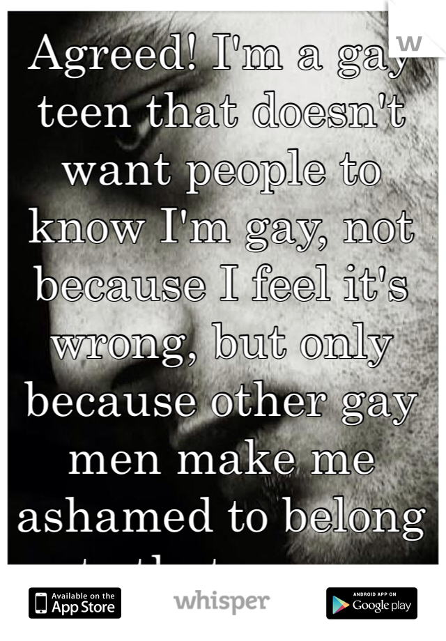 Agreed! I'm a gay teen that doesn't want people to know I'm gay, not because I feel it's wrong, but only because other gay men make me ashamed to belong to that group 