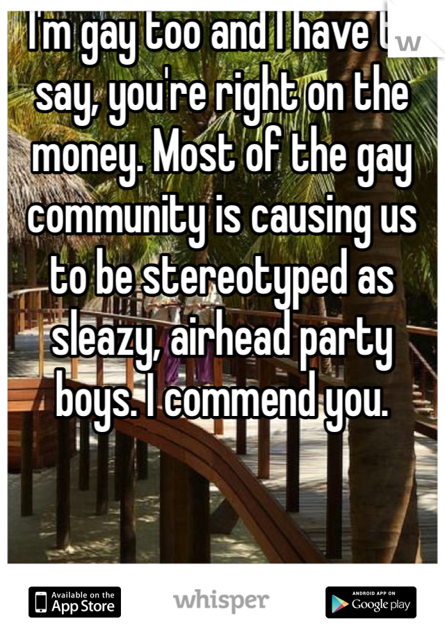 I'm gay too and I have to say, you're right on the money. Most of the gay community is causing us to be stereotyped as sleazy, airhead party boys. I commend you. 