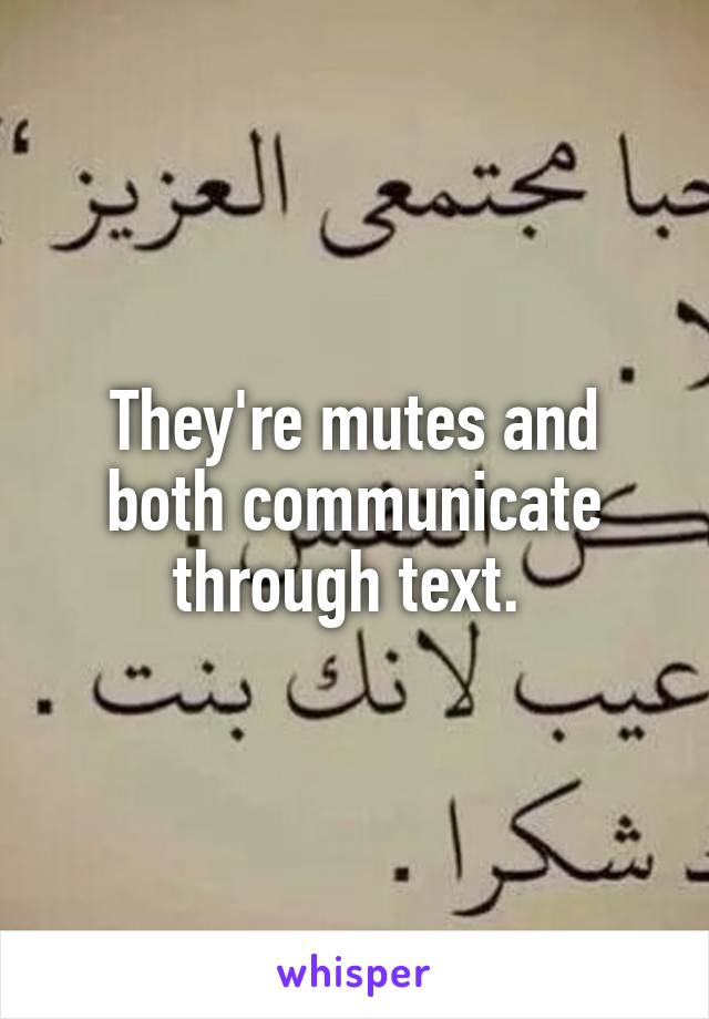 They're mutes and both communicate through text. 