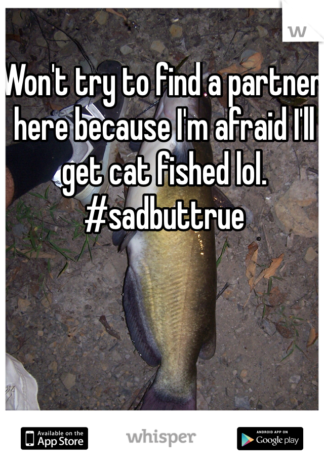 Won't try to find a partner here because I'm afraid I'll get cat fished lol. #sadbuttrue