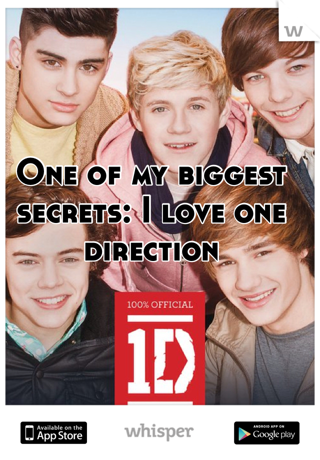 One of my biggest secrets: I love one direction 