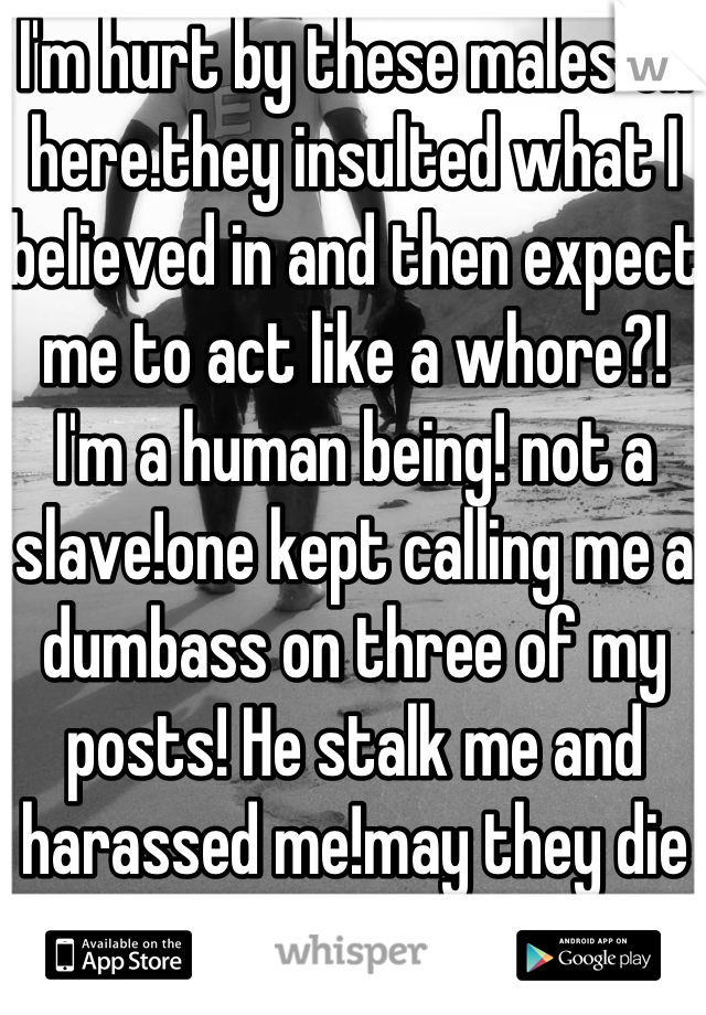 I'm hurt by these males on here.they insulted what I believed in and then expect me to act like a whore?! I'm a human being! not a slave!one kept calling me a dumbass on three of my posts! He stalk me and harassed me!may they die a bloody death!