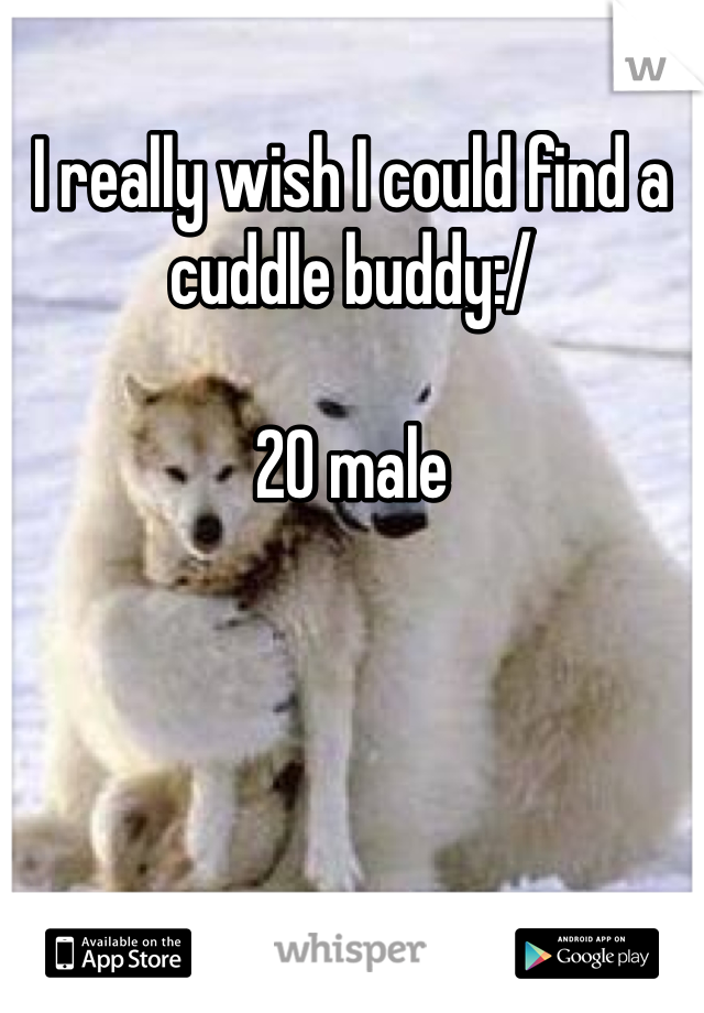 I really wish I could find a cuddle buddy:/

20 male