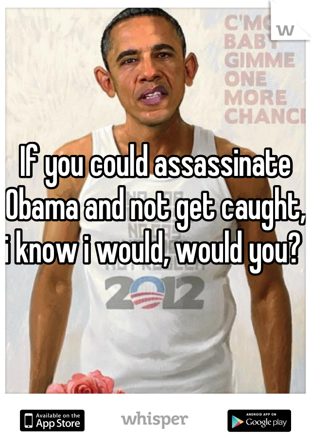 If you could assassinate Obama and not get caught, i know i would, would you? 