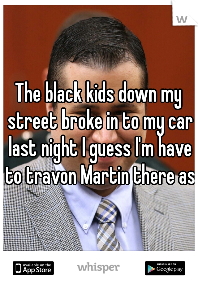 The black kids down my street broke in to my car last night I guess I'm have to travon Martin there ass