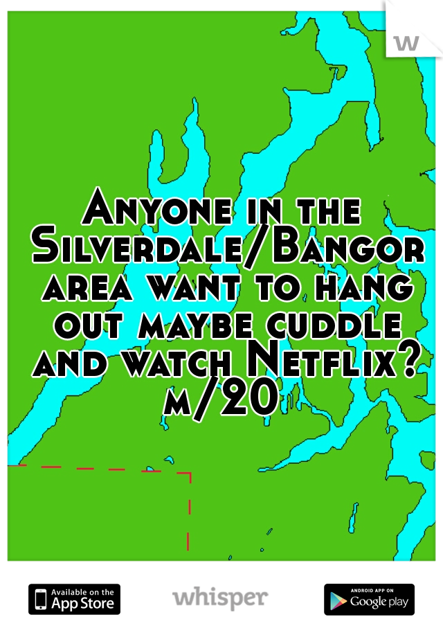 Anyone in the Silverdale/Bangor area want to hang out maybe cuddle and watch Netflix? 
m/20