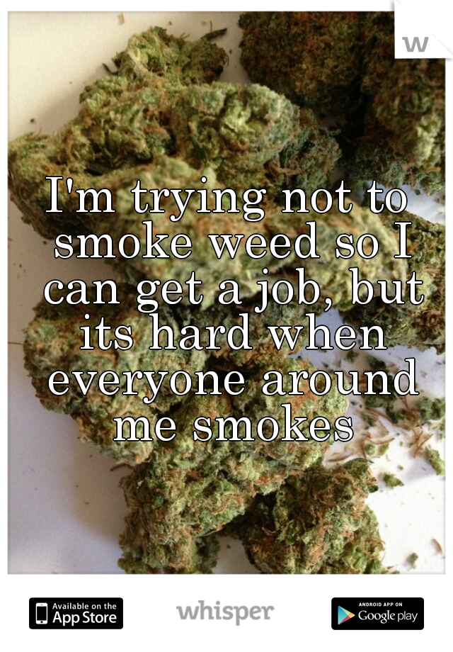 I'm trying not to smoke weed so I can get a job, but its hard when everyone around me smokes