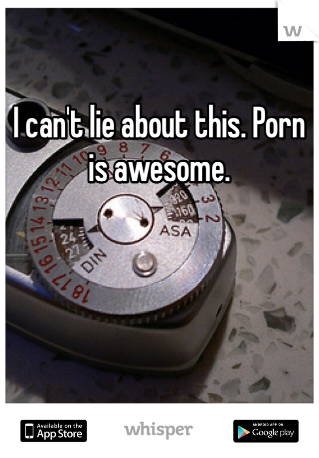 I can't lie about this. Porn is awesome. 