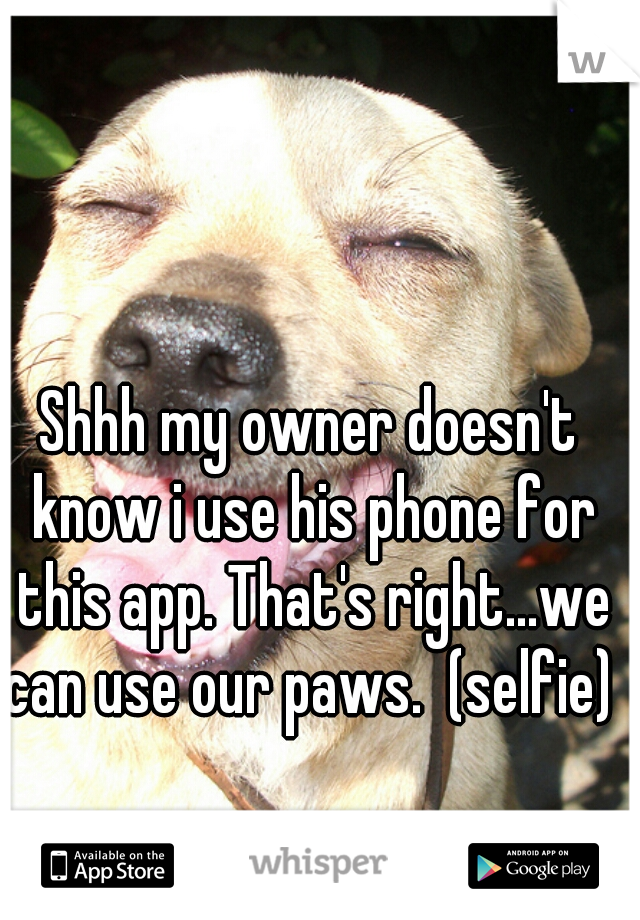 Shhh my owner doesn't know i use his phone for this app. That's right...we can use our paws.  (selfie) 