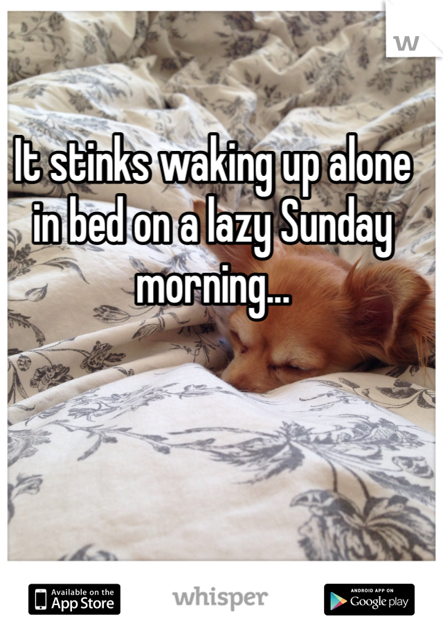 It stinks waking up alone in bed on a lazy Sunday morning...