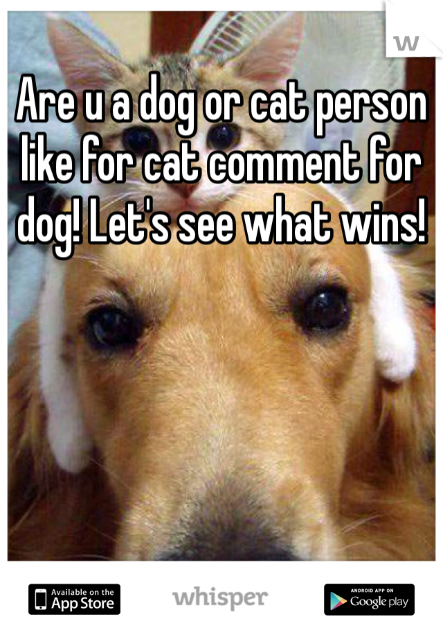 Are u a dog or cat person like for cat comment for dog! Let's see what wins! 