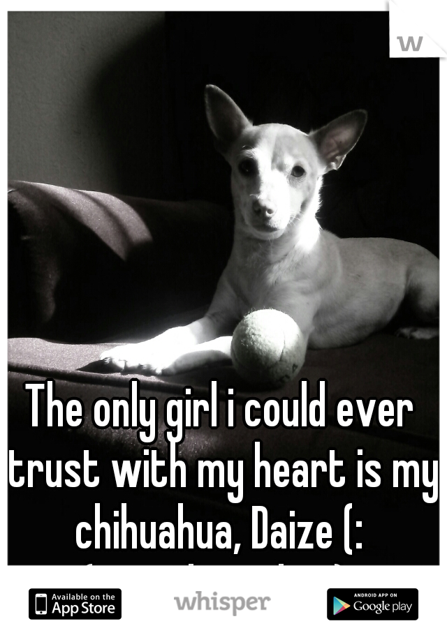 The only girl i could ever trust with my heart is my chihuahua, Daize (: 
(yes, this is her) 