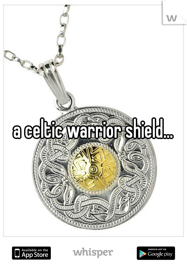 a celtic warrior shield...