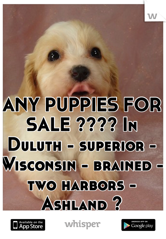 ANY PUPPIES FOR SALE ???? In Duluth - superior - Wisconsin - brained - two harbors - Ashland ? 