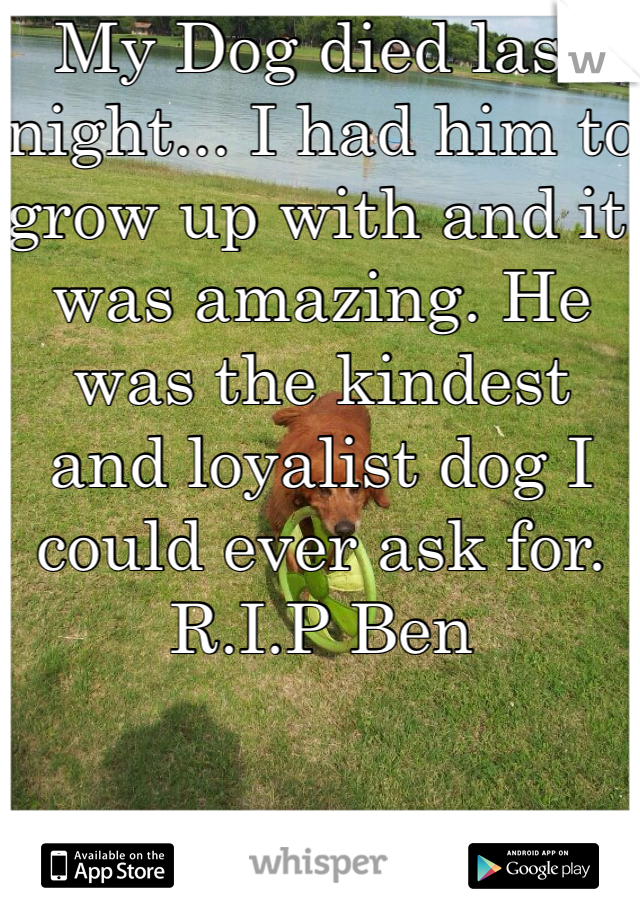 My Dog died last night... I had him to grow up with and it was amazing. He was the kindest and loyalist dog I could ever ask for. R.I.P Ben