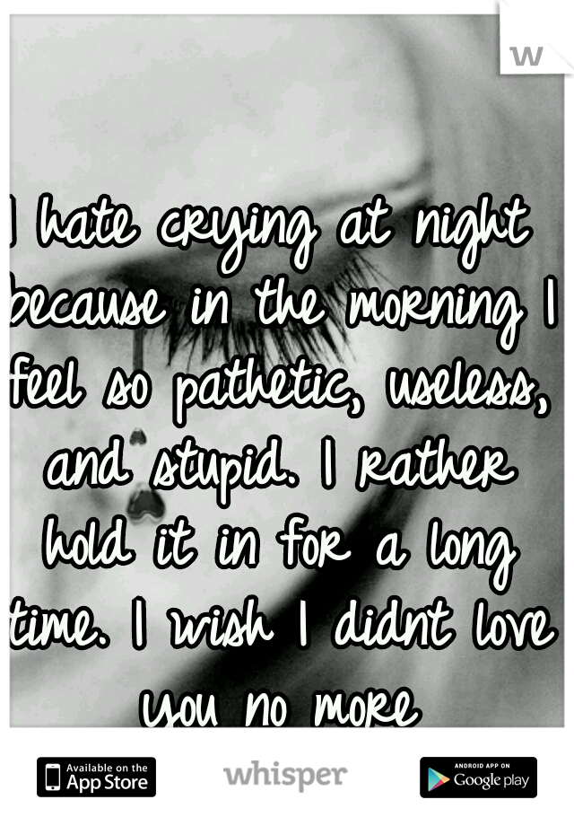 I hate crying at night because in the morning I feel so pathetic, useless, and stupid. I rather hold it in for a long time. I wish I didnt love you no more