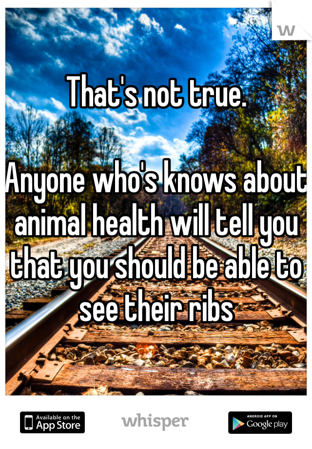 That's not true.

Anyone who's knows about animal health will tell you that you should be able to see their ribs 