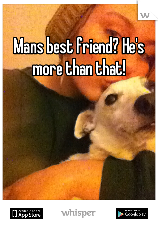 Mans best friend? He's more than that!