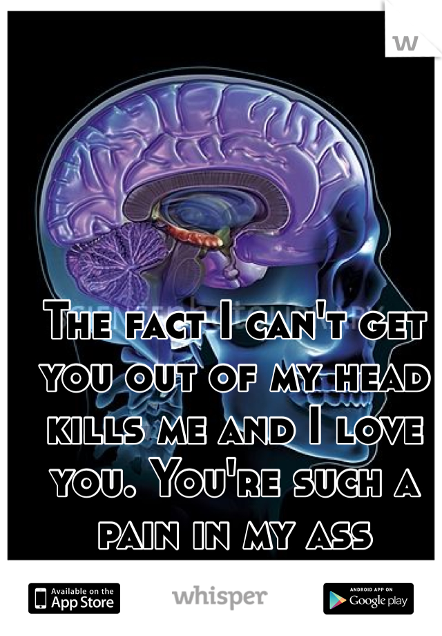 The fact I can't get you out of my head kills me and I love you. You're such a pain in my ass 