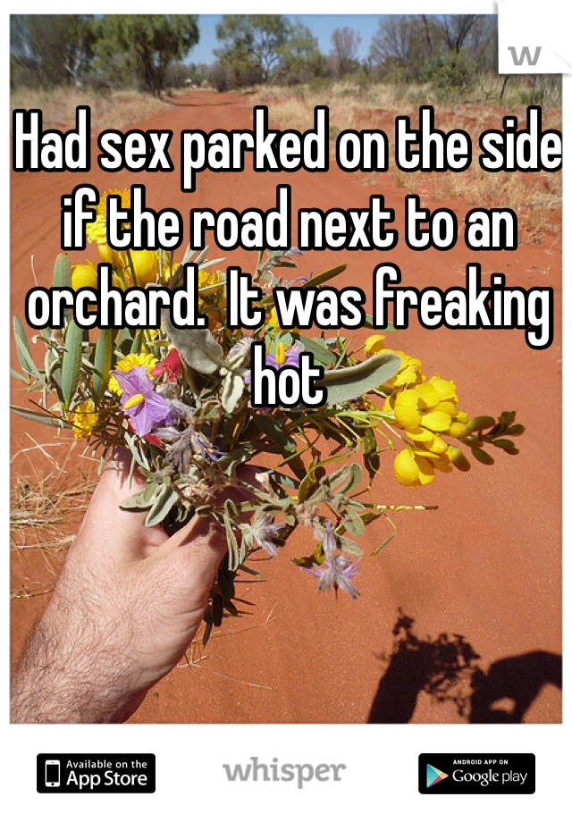 Had sex parked on the side if the road next to an orchard.  It was freaking hot