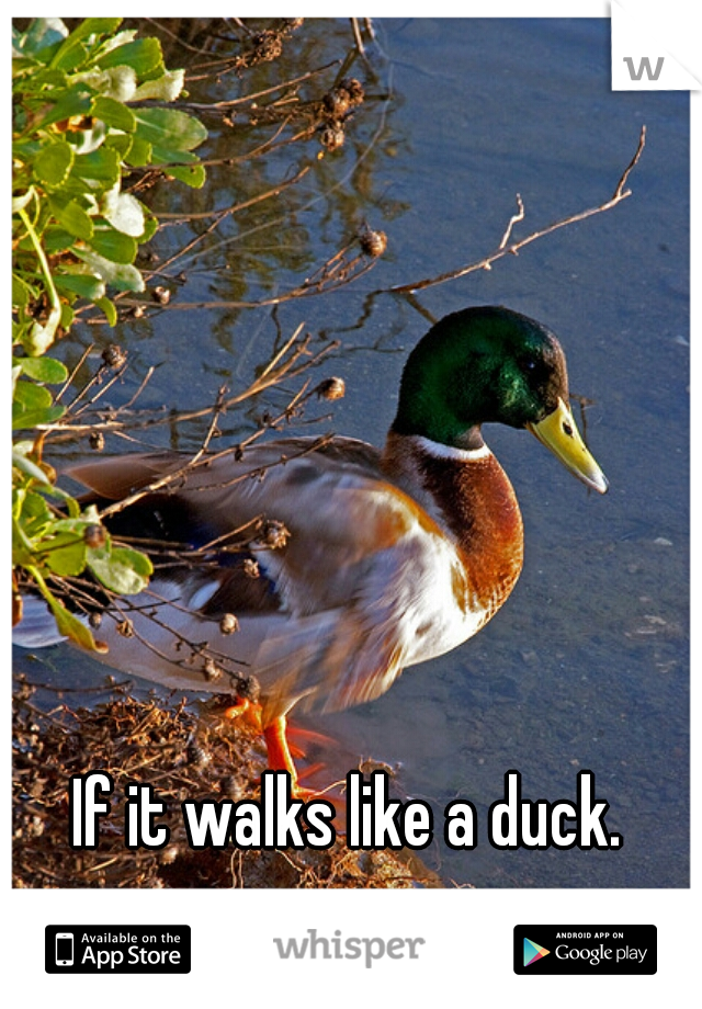 If it walks like a duck.
