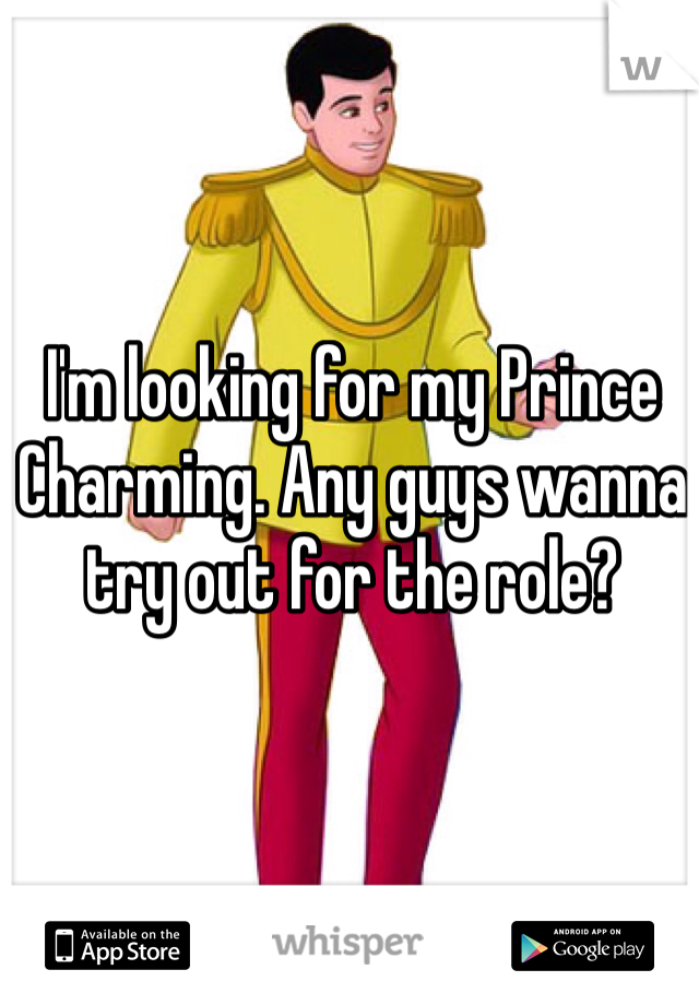 I'm looking for my Prince Charming. Any guys wanna try out for the role? 