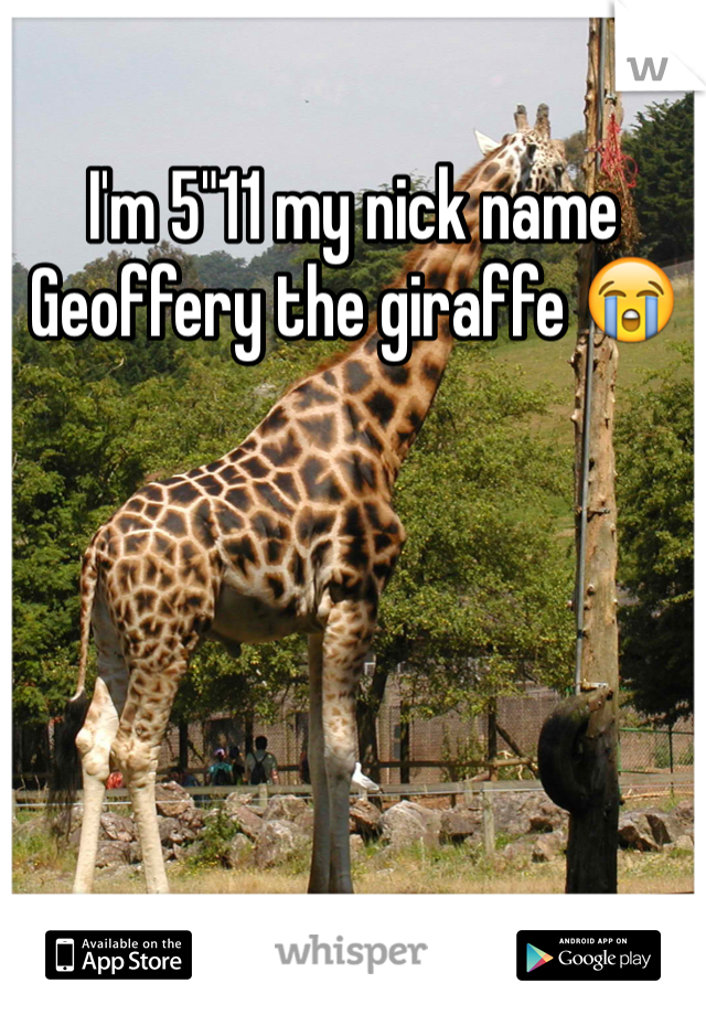 I'm 5"11 my nick name Geoffery the giraffe 😭