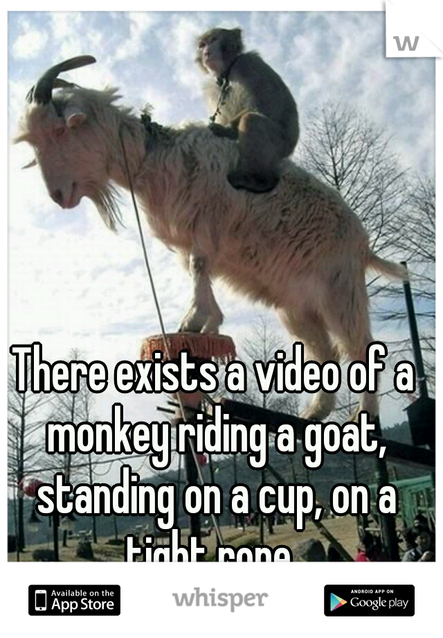 There exists a video of a monkey riding a goat, standing on a cup, on a tight rope. 