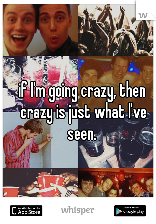 if I'm going crazy, then crazy is just what I've seen. 