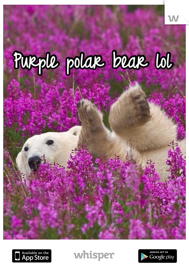 Purple polar bear lol