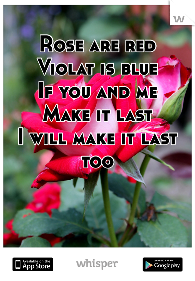 Rose are red 
Violat is blue 
If you and me 
Make it last 
I will make it last too 