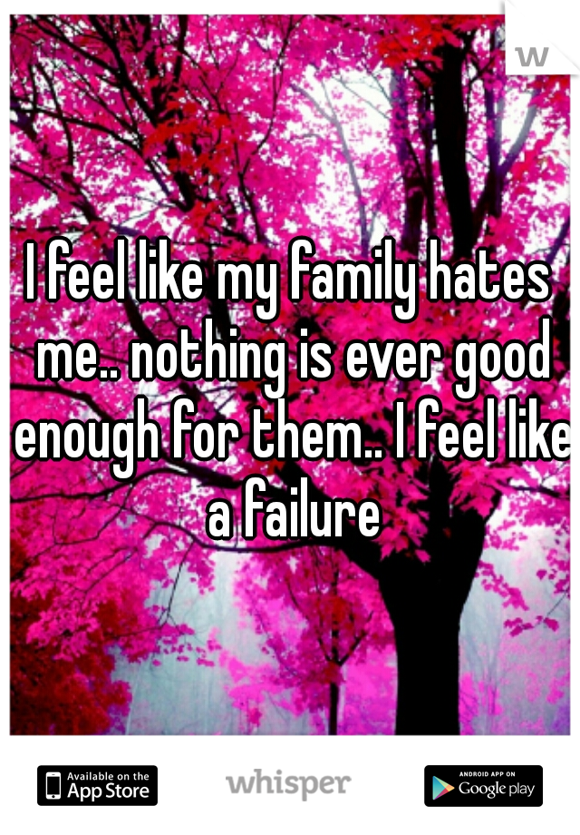 I feel like my family hates me.. nothing is ever good enough for them.. I feel like a failure