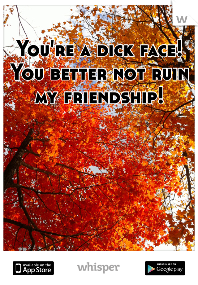 You're a dick face! You better not ruin my friendship! 