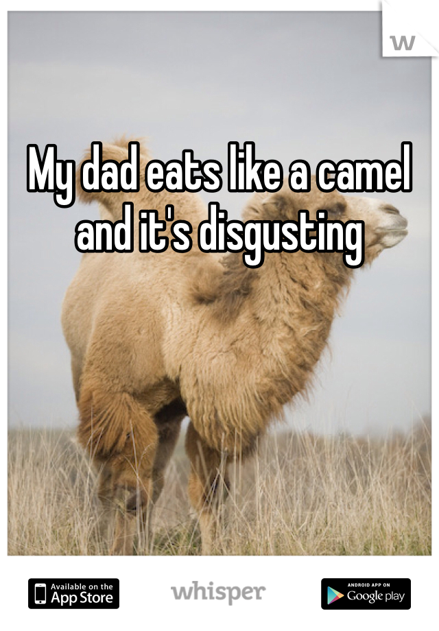 My dad eats like a camel and it's disgusting 